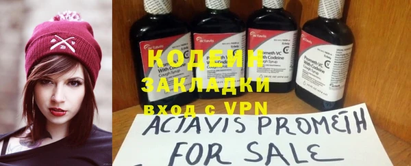 кокс Алексин