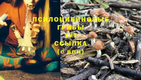 меф Алзамай