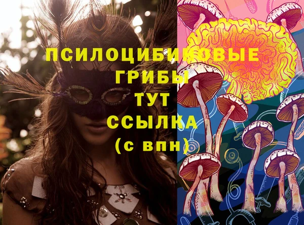 меф Алзамай